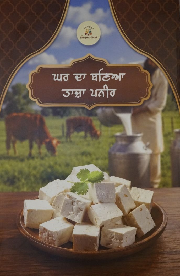 Fresh homemade paneer